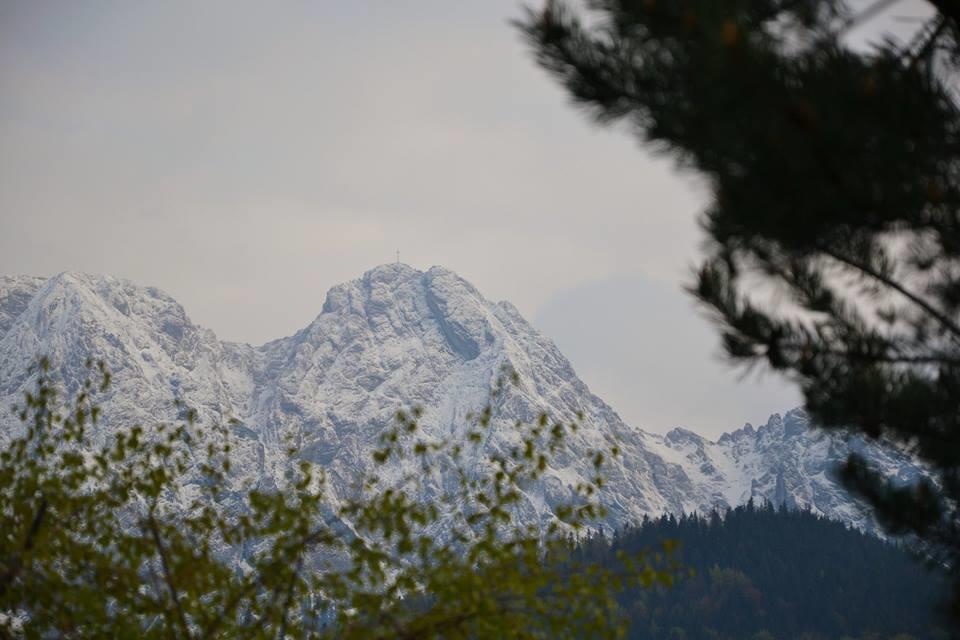 Apartament Twoj Giewont Zakopane Kościelisko Exteriör bild